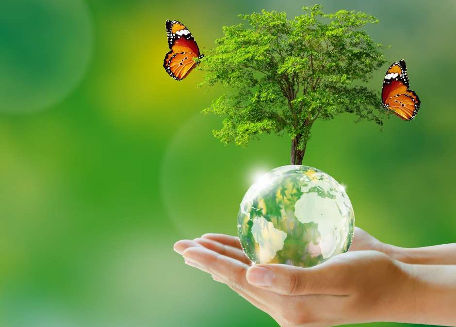 Décoration éco responsable