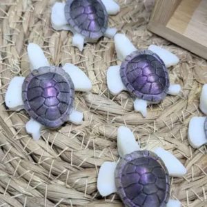 Fondant tortue cocooning parfum Étoile Filante en cire d’olive