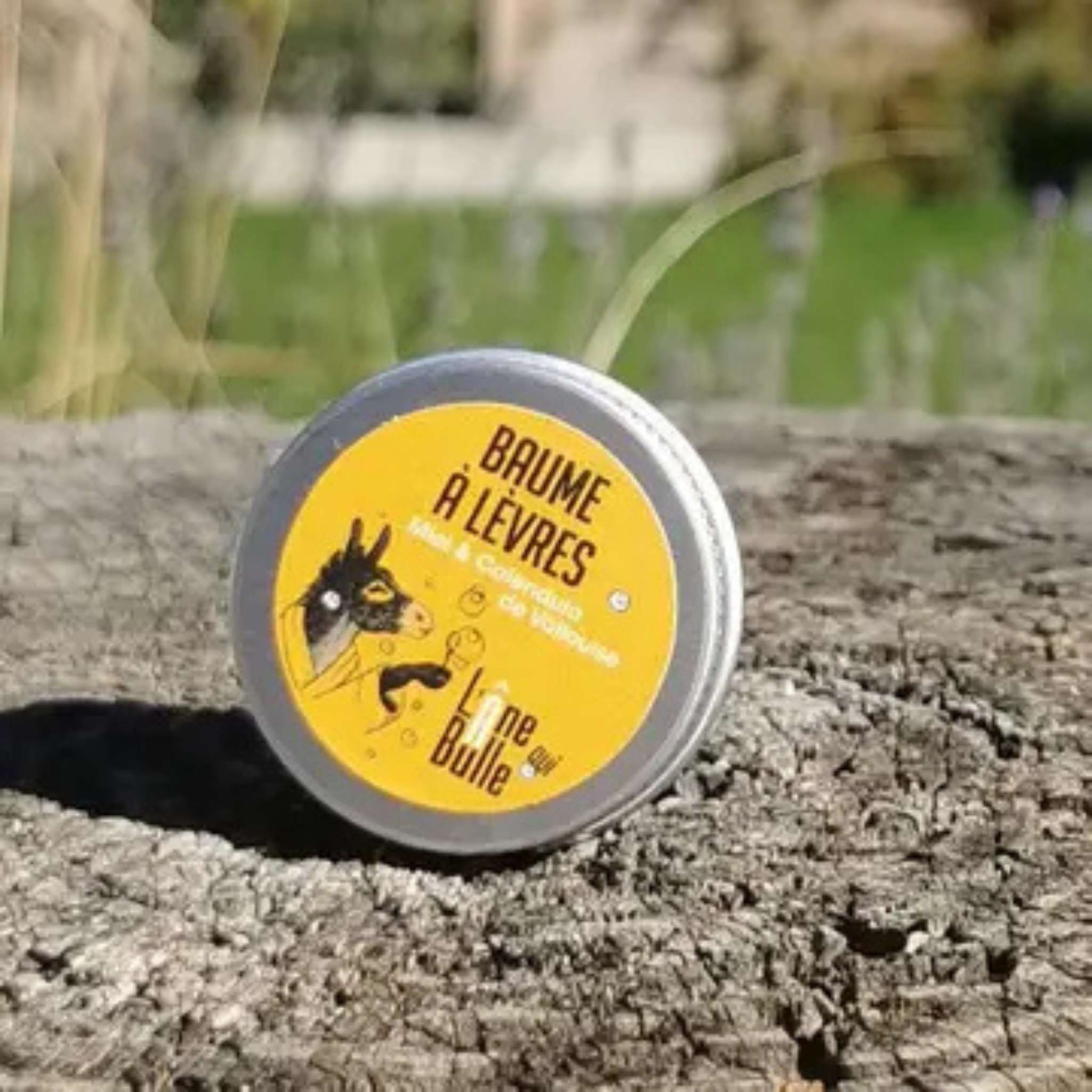 Baume à lèvres miel calendula de Vallouise en pot de 18 g – soin naturel hydratant et réparateur