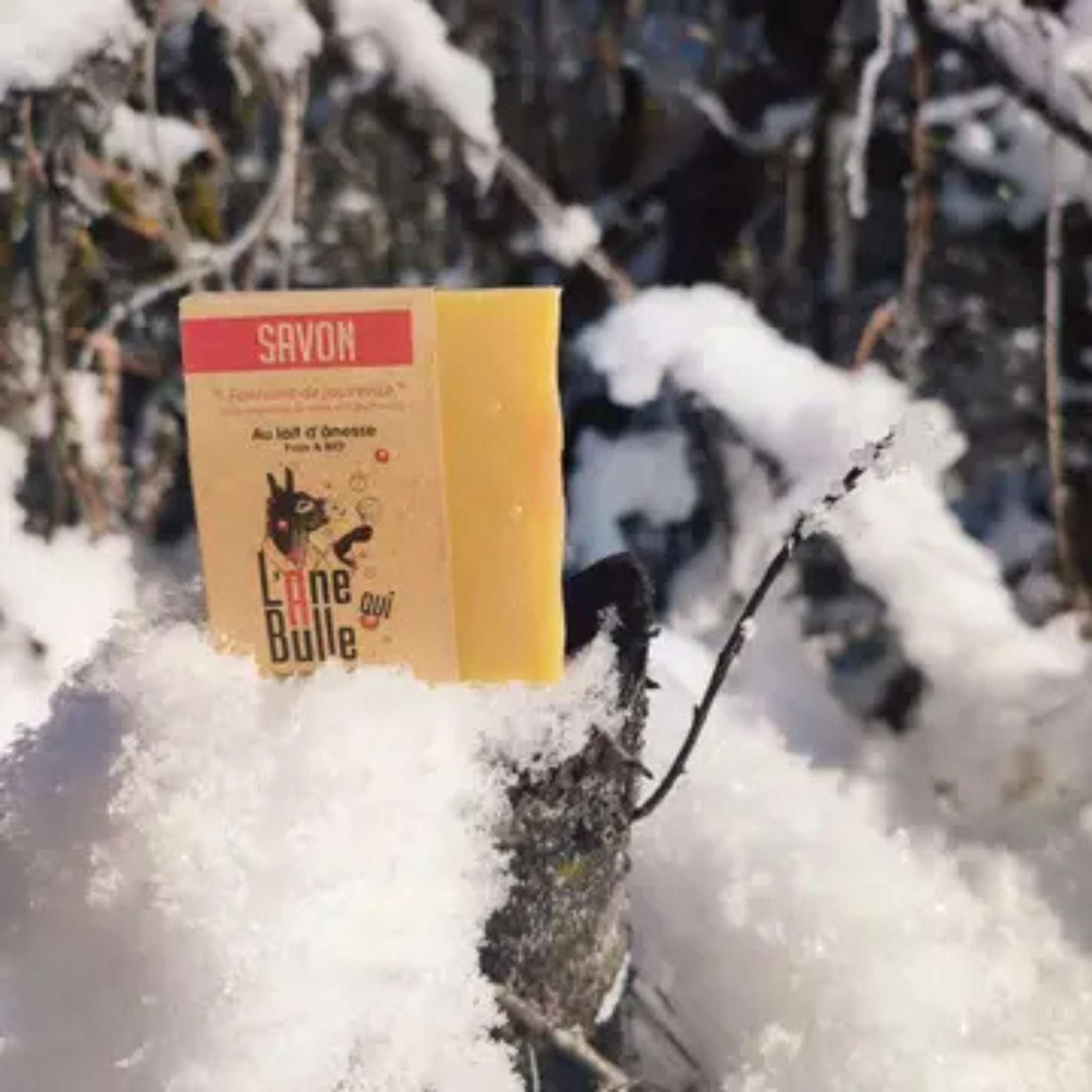 savon d'ânesse bio aux raisins et soja