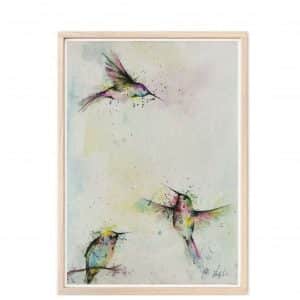 affiche de 3 colibris en couleur