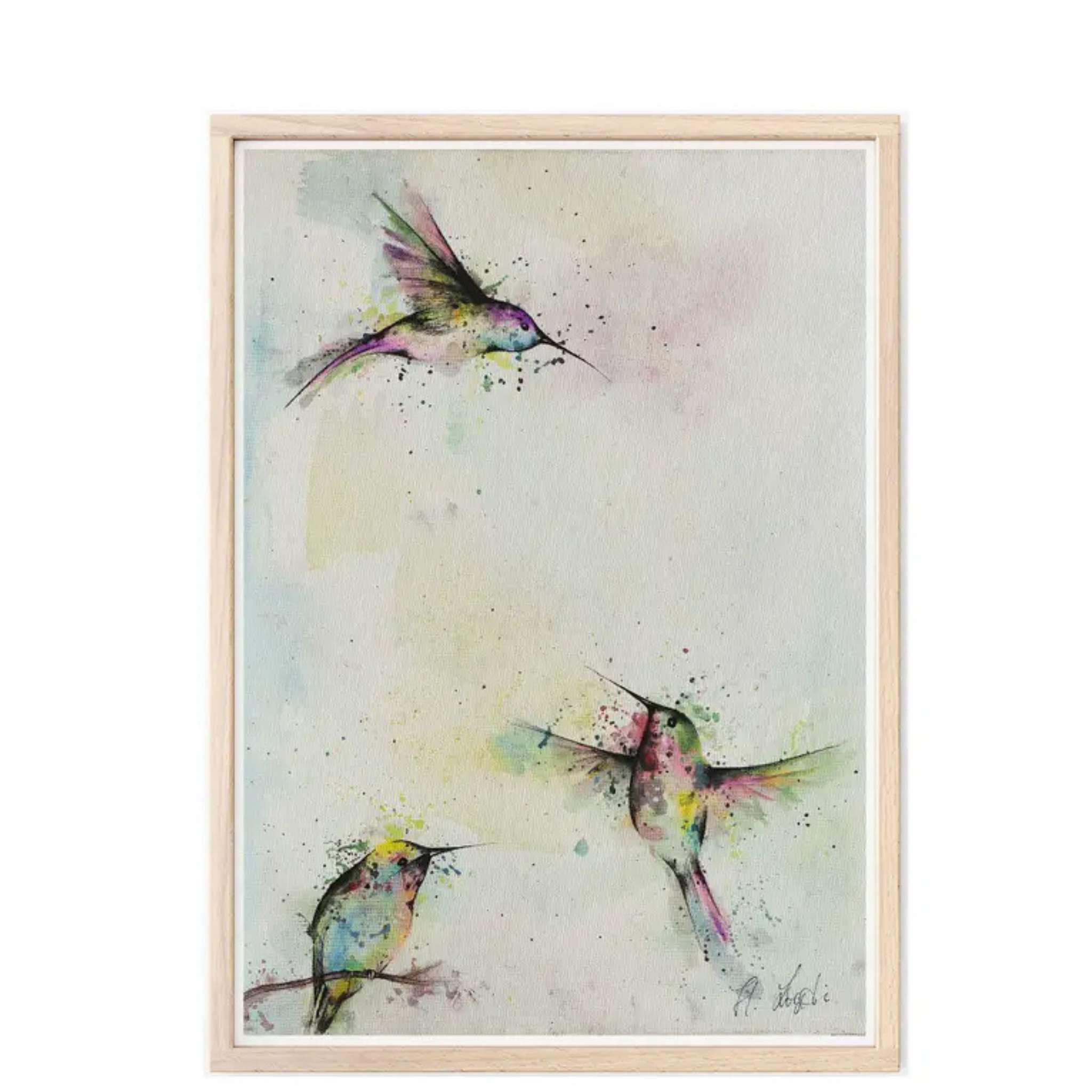 affiche de 3 colibris en couleur