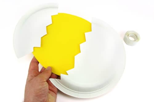 fixer la coquille du poussin