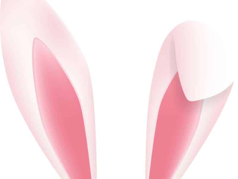 découpage oreilles lapin papier bricolage Pâques enfant