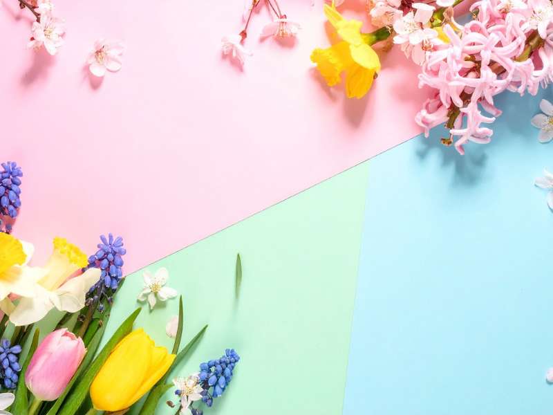 Palette de couleurs tendance pour une décoration printanière en 2026