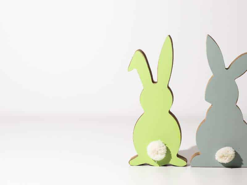 collage de la queue du lapin