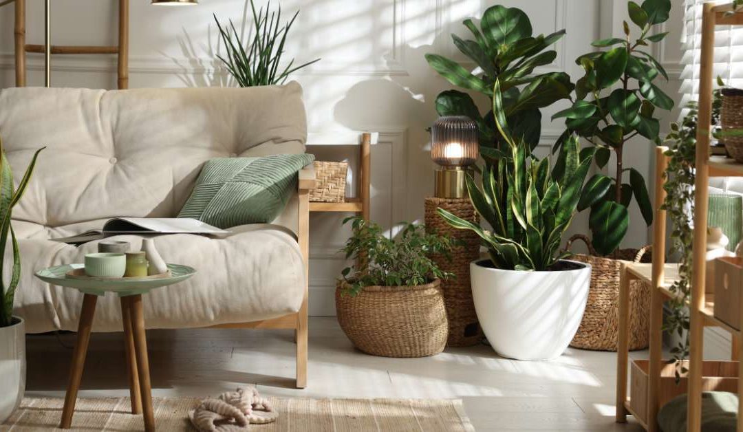 3 astuces pour créer une déco naturelle et apaisante chez soi