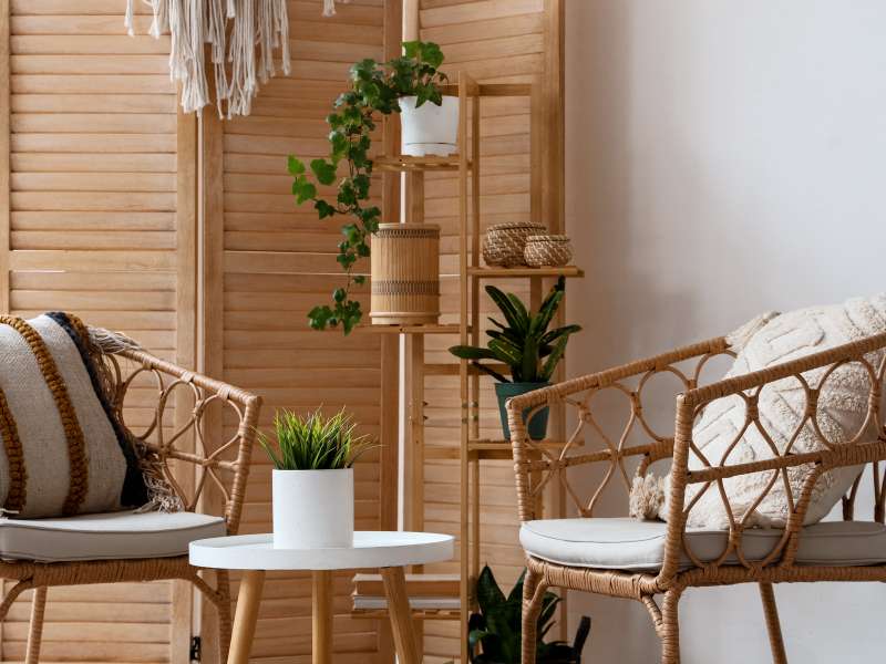 meubles en bois et objets décoratifs naturels dans un salon