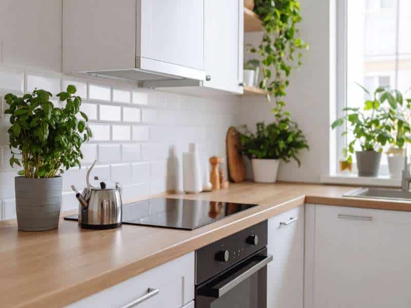 cuisine lumineuse printemps minimaliste