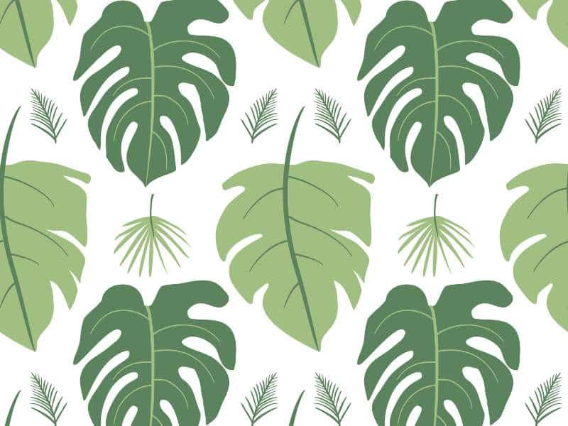 rideaux à motifs feuillage dans un salon ambiance nature et zen